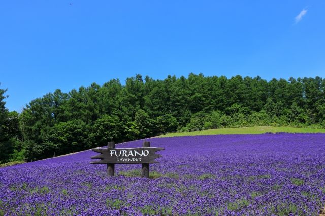 北海道